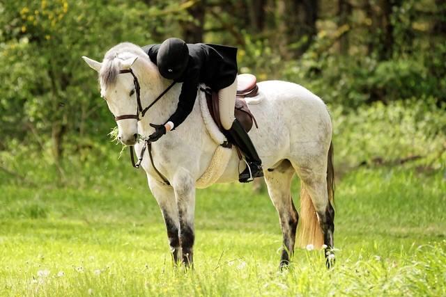 12993447_10205779797205403_7722427668196392124_n